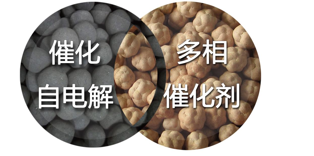 圖片4.png 圖片4.png